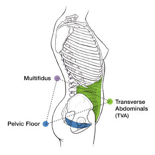 Pelvic Expert